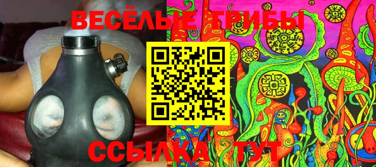Псилоцибиновые грибы MAGIC MUSHROOMS Новошахтинск